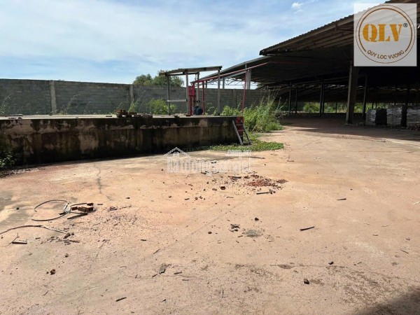 Cho thuê nhà xưởng Bắc Tân Uyên, Bình Dương 37.000m²