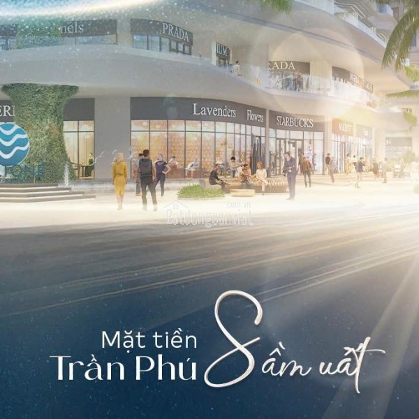 TIỀN MẶT CÓ THỂ MẤT GIÁ, NHƯNG BẤT ĐỘNG SẢN MẶT BIỂN TRẦN PHÚ THÌ KHÔNG! TẠI SAO NGƯỜI NHA TRANG