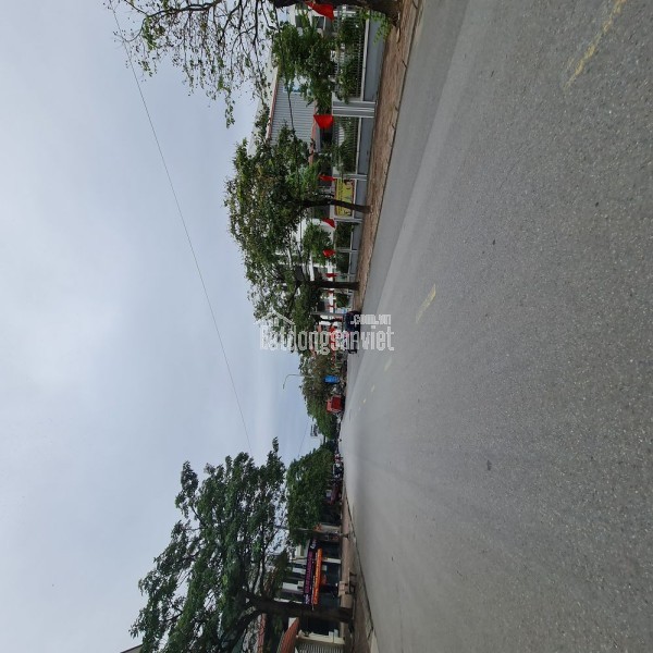 Bán đất Đa Tốn, Gia Lâm, Hà Nội. Dt 70m2, mt 4m, 7 chỗ chạy thông chỉ 5 tỷ x. Lh 0989894845