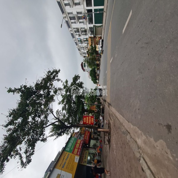 💎 TĐC Trâu Quỳ, Gia Lâm, Hà Nội. Dt 41m2, đường 13m giá đầu tư. Lh 0989894845