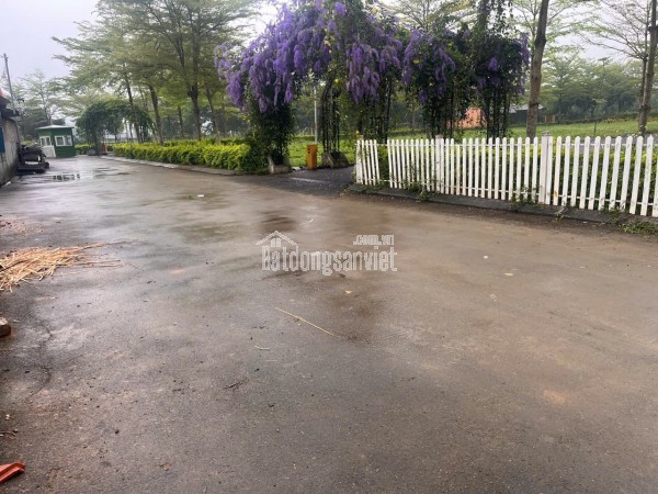 💔 Không mua lô đất này… mai em lại tiếc thay các Bác !