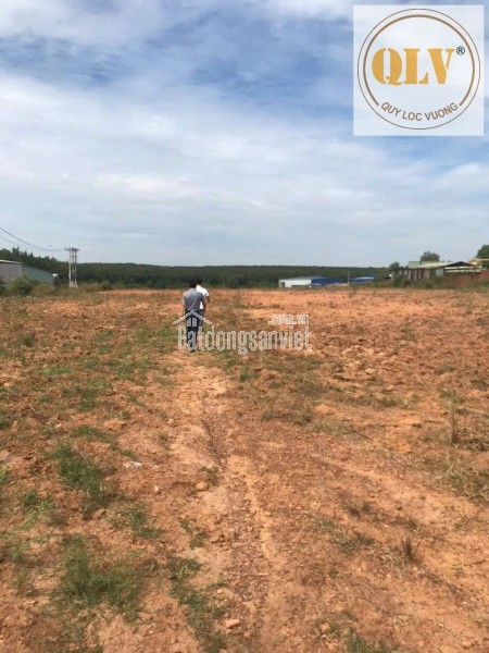 Bán đất tại Phước Hoà, Huyện Phú Giáo, Bình Dương 48.450 m²