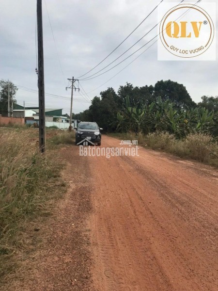 Bán đất tại Phước Hoà, Huyện Phú Giáo, Bình Dương 48.450 m²