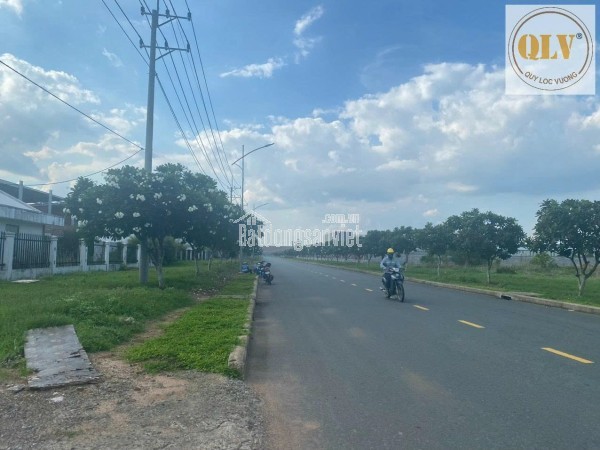 Bán nhà xưởng tại  Châu Đức, Bà Rịa Vũng Tàu 20.504 m²