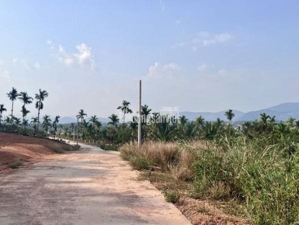 ĐẤT 2 MẶT TIỀN – THUNG LŨNG THÔNG XANH, KHÔNG GIAN SỐNG CHẠM CẢM XÚC