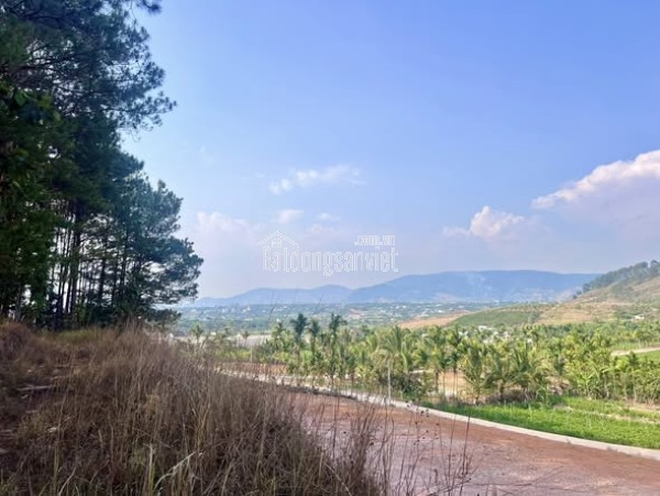 ĐẤT 2 MẶT TIỀN – THUNG LŨNG THÔNG XANH, KHÔNG GIAN SỐNG CHẠM CẢM XÚC