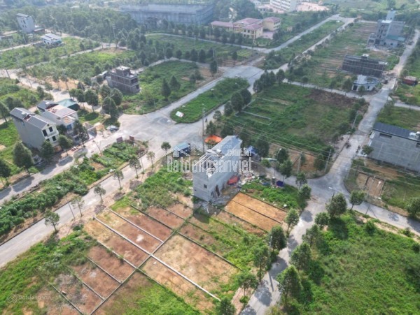 Chính Chủ Bán rẻ 120m2 Đối Diện 2 Tòa Chung Cư Khu Tái Định Cư Bắc Phú Cát - Đất Hòa Lạc giá Rẻ