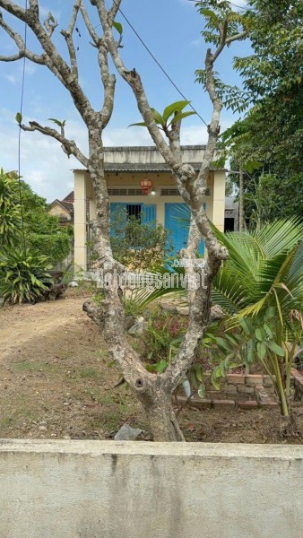 CHÍNH CHỦ BÁN GẤP ĐẤT NỀN , GIÁ TỐT TẠI XÃ DIÊN THỌ , DIÊN KHÁNH, KHÁNH HÒA