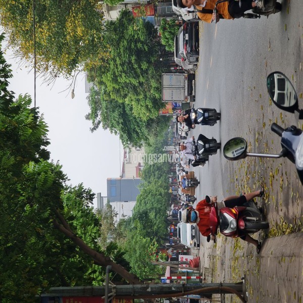 🔥 Bán đất 45m2 Trâu Quỳ, Gia Lâm, đường ô tô 16 chỗ chạy thông. LH 0989894845 🔥