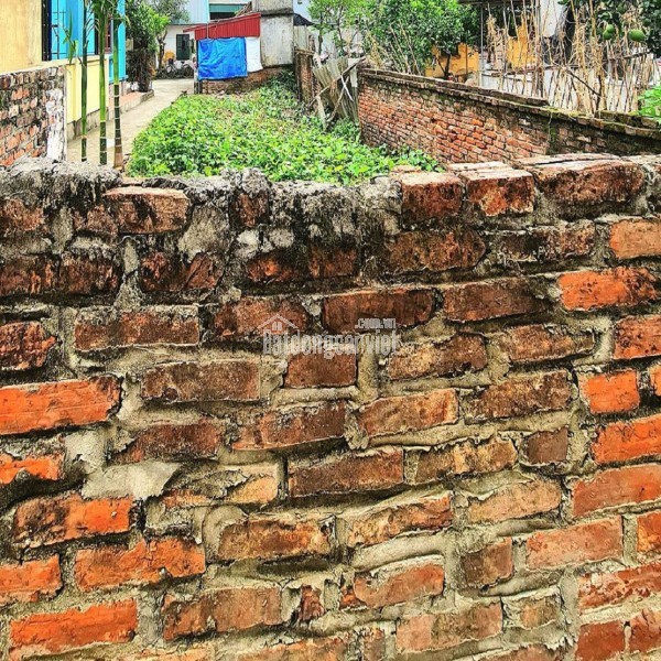 🔥 Bán đất Tân Quang, Văn Lâm 255m2 MT 10m – Đường 10m – View sông đối. Lh 0989894845