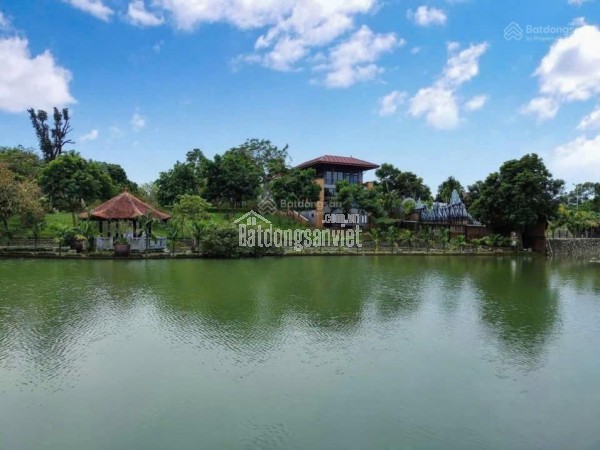 Chiết khấu sâu nhất lô đất đẹp, mặt tiền rộng, vị trí trung tâm Vai réo, Phú Cát, Hà Nội