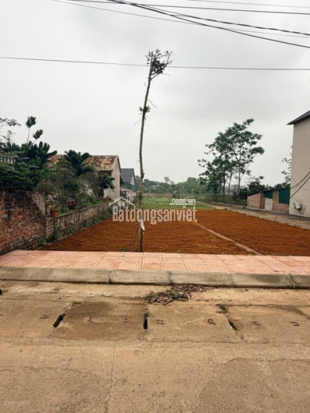 chính chủ cắt lỗ  đất đô thị Hòa Lạc, gần QL21 , diện tích 100m², mặt tiền 7m