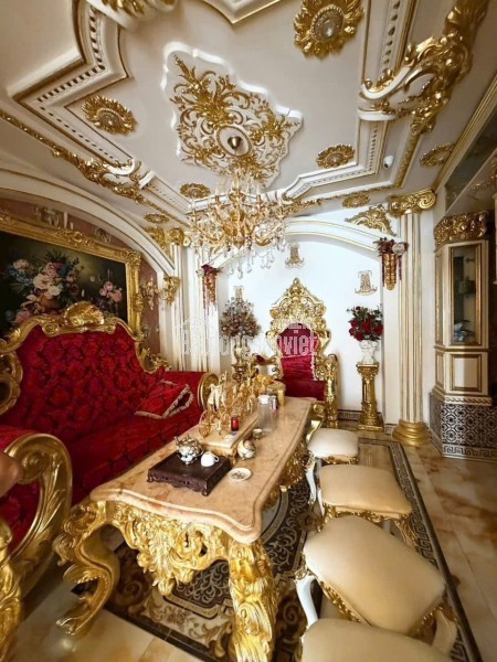 BIỆT THỰ DÁT VÀNG ,NỘI THẤT MỚI ,THIẾT KẾ HIỆN ĐẠI CẦN CHO THUÊ ,QUẬN 7 ,TPHCM