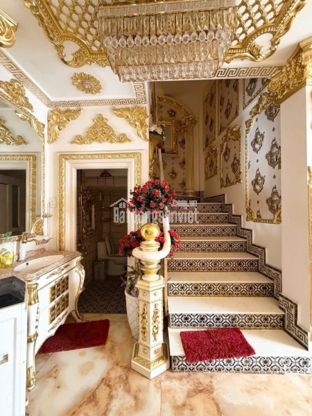 BIỆT THỰ DÁT VÀNG ,NỘI THẤT MỚI ,THIẾT KẾ HIỆN ĐẠI CẦN CHO THUÊ ,QUẬN 7 ,TPHCM