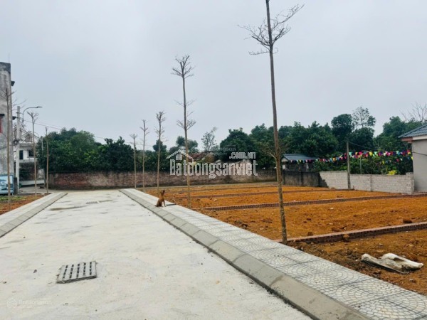 Bán lô góc chợ Phú Cát, tâm điểm hạ tầng đón sóng Metro 5 Hòa Lạc