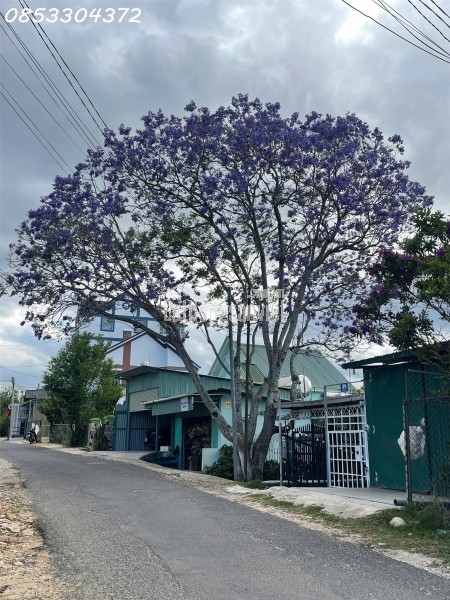ĐẤT ĐẸP GIÁ TỐT – VUÔNG VỨC GẦN KHU THỂ THAO ĐÀ LẠT
Vị trí: Đường Cao Bá Quát – P6 cũ – Đà Lạt
