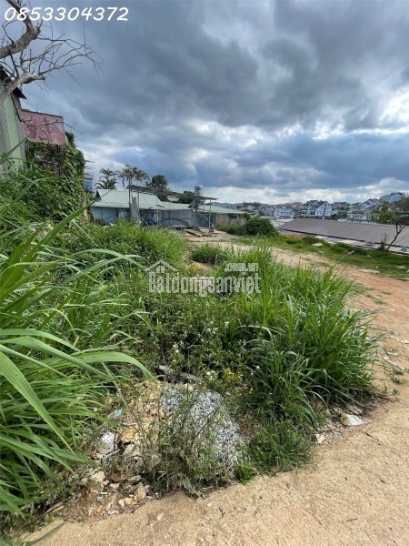 ĐẤT ĐẸP GIÁ TỐT – VUÔNG VỨC GẦN KHU THỂ THAO ĐÀ LẠT
Vị trí: Đường Cao Bá Quát – P6 cũ – Đà Lạt