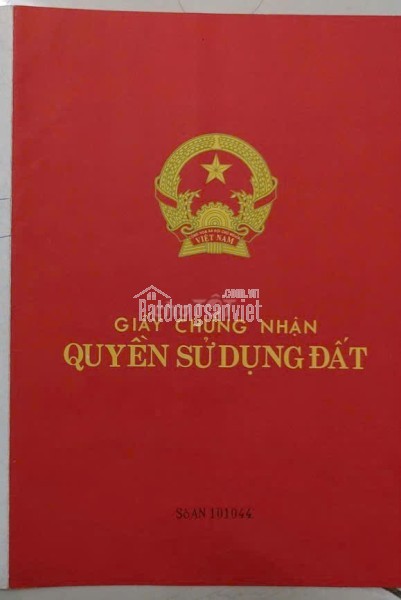 Bán đất Nông Nghiệp 12m x 34,3m, Đường T12 , Bình Chánh