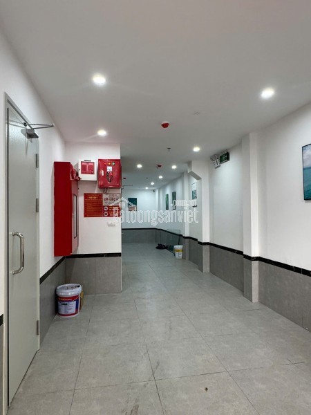 🔥 TÒA CHDV ĐƯỜNG LÁNG – 61m² – 5 TẦNG – THANG MÁY – 11.X TỶ