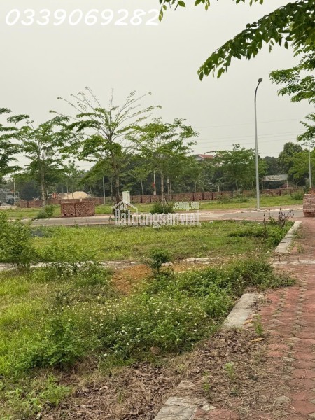 Tiết lộ lô đất 100m2 gần Đại học Quốc Gia, khu vực trung tâm Hòa Lạc. Phù hợp xây trọ, đầu tư sinh