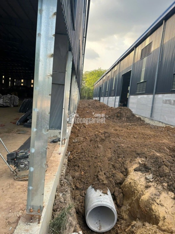 Cho nhà xưởng tại Tân Thành, Bà Rịa Vũng Tàu 17.400 m²