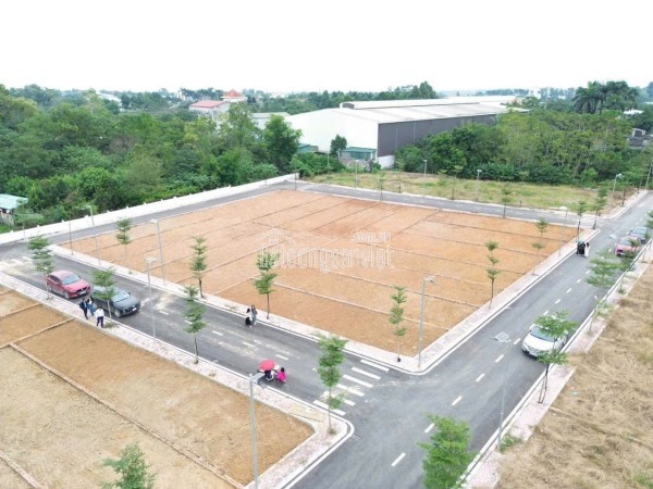 ĐHQG không phải là tiện ích, mà là nguồn tiền. Mỗi mùa nhập học là một làn sóng thuê trọ. Ai có
