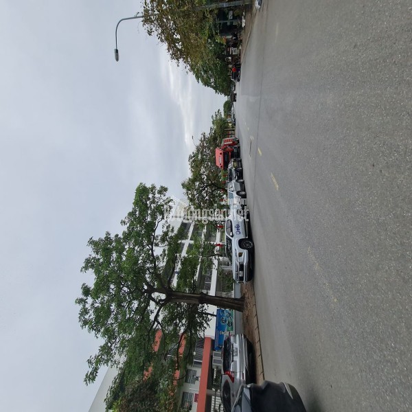 Bán đất mặt phố kinh doanh Trâu Quỳ, Gia Lâm. 71m2, đường 12m vỉa hè. Lh 0989894845