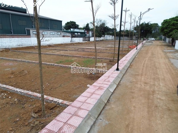 Cắt lỗ bán lô đất hai mặt thoáng cách trục hồ tây ba vì đúng 100m