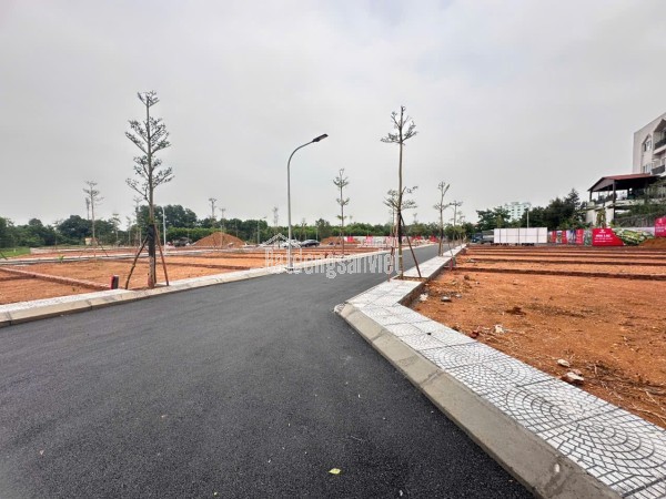 Tôi cần bán lô đất cực hiếm khu đất dịch vụ 4.6 ha Vân Canh sát An Lạc Symphony 3 bước chân ra