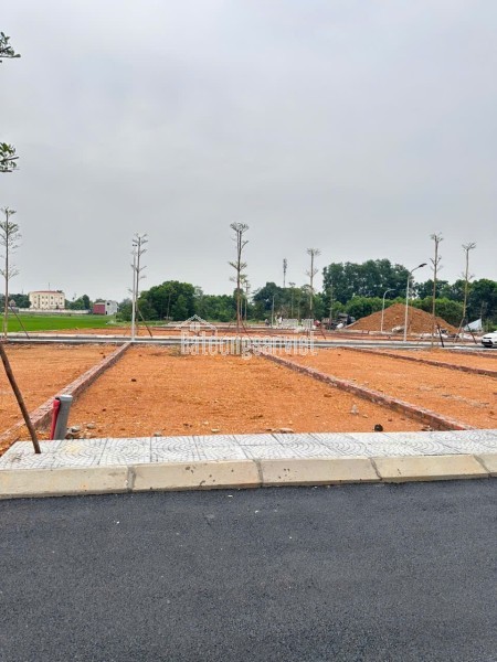 Tôi cần bán lô đất cực hiếm khu đất dịch vụ 4.6 ha Vân Canh sát An Lạc Symphony 3 bước chân ra