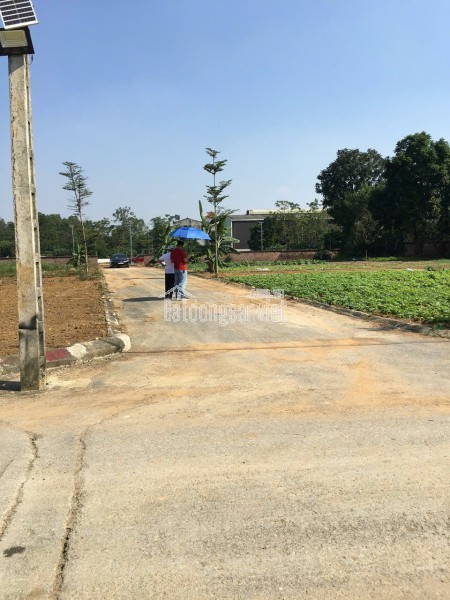 Chính Chủ Bán đất Liền Kề : 101.7m2 đất fun thổ cư . Thôn 7 Phú Cát / Hòa Lạc/ Hà Nội, lh