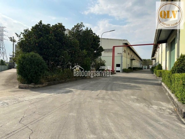 Cho thuê kho, nhà xưởng tại Xã Hội Nghĩa, giá 91 Ngàn