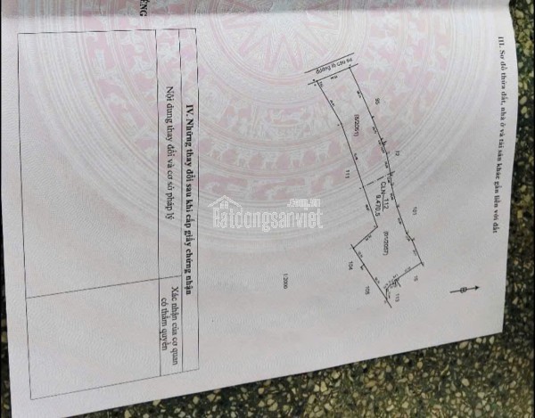 🚨 BÁN GẤP 1HA ĐẤT CAO SU LONG HOÀ – hơn 40m mặt tiền, đang cho thuê, giá bán nhanh!