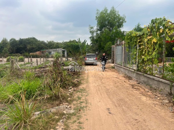 Bán vườn 3216m2, Xuân Phú, Xuân Lộc. Đồng Nai. Giá 1,8 ty. Lh 0984488048.
