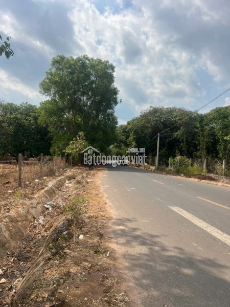 Bán đất Mt Nhựa Xuân Hiệp-Tân Tiến, Xuân Lộc. Đồng Nai. Giá 3.25ty. Lh 0984488048.
