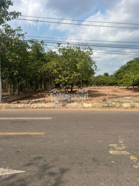 Bán đất Mt Nhựa Xuân Hiệp-Tân Tiến, Xuân Lộc. Đồng Nai. Giá 3.25ty. Lh 0984488048.