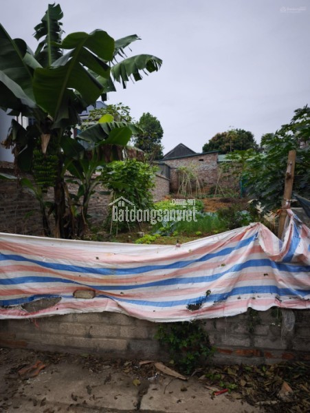 Cực Phẩm hòa lạc 131m2, hàng hiếm tại Thạch Thất, Hà Nội