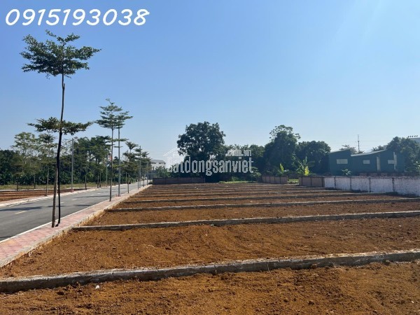 TÔI CHÍNH CHỦ CẦN TIỀN BÁN CẮT LỖ LÔ ĐẤT VÀNG Ở PHÚ CÁT - SÁT VÁCH TỈNH LỘ 446 - QUỐC LỘ 21