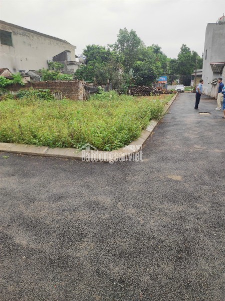 Lô đất 100m2 gần Đại học Quốc Gia, khu vực trung tâm Hòa Lạc. Phù hợp xây trọ, đầu tư sinh lời,