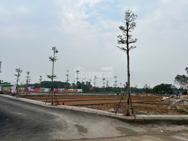 🔥 HÀNG TUYỂN SIÊU VIP – SÁT QL21 & TUYẾN METRO SỐ 5
———-TÂM ĐIỂM TĂNG GIÁ MẠNH NHẤT TẠI HOÀ LẠC!