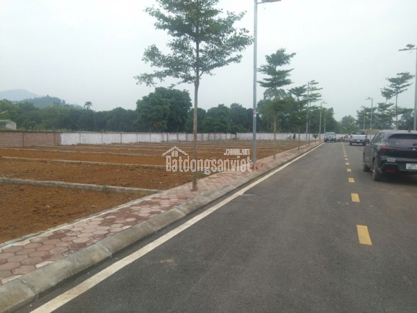 Hiếm! Lô đất ngay cạnh chợ Hòa Lạc – buôn bán ngày đêm, giá khiến ai cũng giật mình.