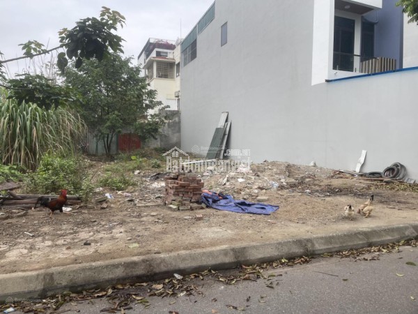 Bán Đất Xây Chung Cư Mini Khu Công Nghệ Cao Hòa Lạc, Cạnh ĐH FPT, ĐHQG Ngay Vòng Xuyến Hòa Lạc