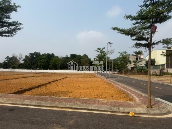 SỐC THẬT! Đất Phú Cát giá rẻ như cho – 100m full thổ cư, chậm chân là mất!