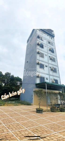 Bán đất chính chủ tại Xã Cổ Đông, Sơn Tây, Hà Nội, 30 triệu/m2, S= 100 m2 full thổ cư