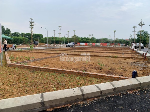 Suất ngoại giao lô góc đẹp nhất giáp dự án đất đấu giá Đồng Mô Lakeside