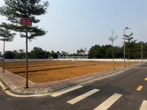 Lô góc Phú Cát ngay sát quốc lộ 21 cần tiền gấp bán nhanh trong tuần