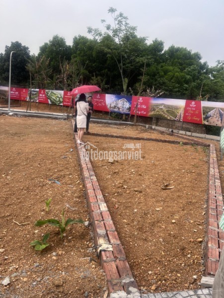 Tiết lộ lô đất 100m2 gần Phú Cát, khu vực trung tâm Hòa Lạc. Phù hợp xây trọ, đầu tư sinh lời, kết