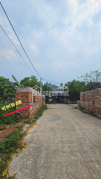 💰 GIỮ TIỀN KHÔN NGOAN – 70M² ĐẤU GIÁ CỔNG NGÓI, PHÁP LÝ RÕ – ÍT BIẾN ĐỘNG