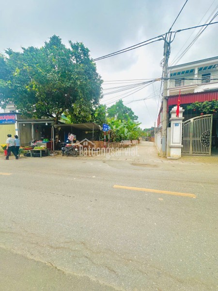 CHỤC CHÍNH KINH DOANH TẠI XUÂN ĐỒNG TÂN MIMH -XÃ SÓC SƠN THÀNH PHỐ HN - DIỆN TÍCH 103,8 M -KHUÔN