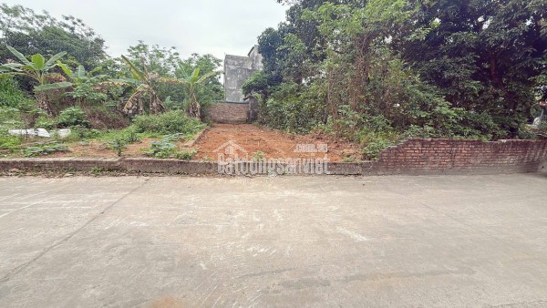 CHỤC CHÍNH KINH DOANH TẠI XUÂN ĐỒNG TÂN MIMH -XÃ SÓC SƠN THÀNH PHỐ HN - DIỆN TÍCH 103,8 M -KHUÔN